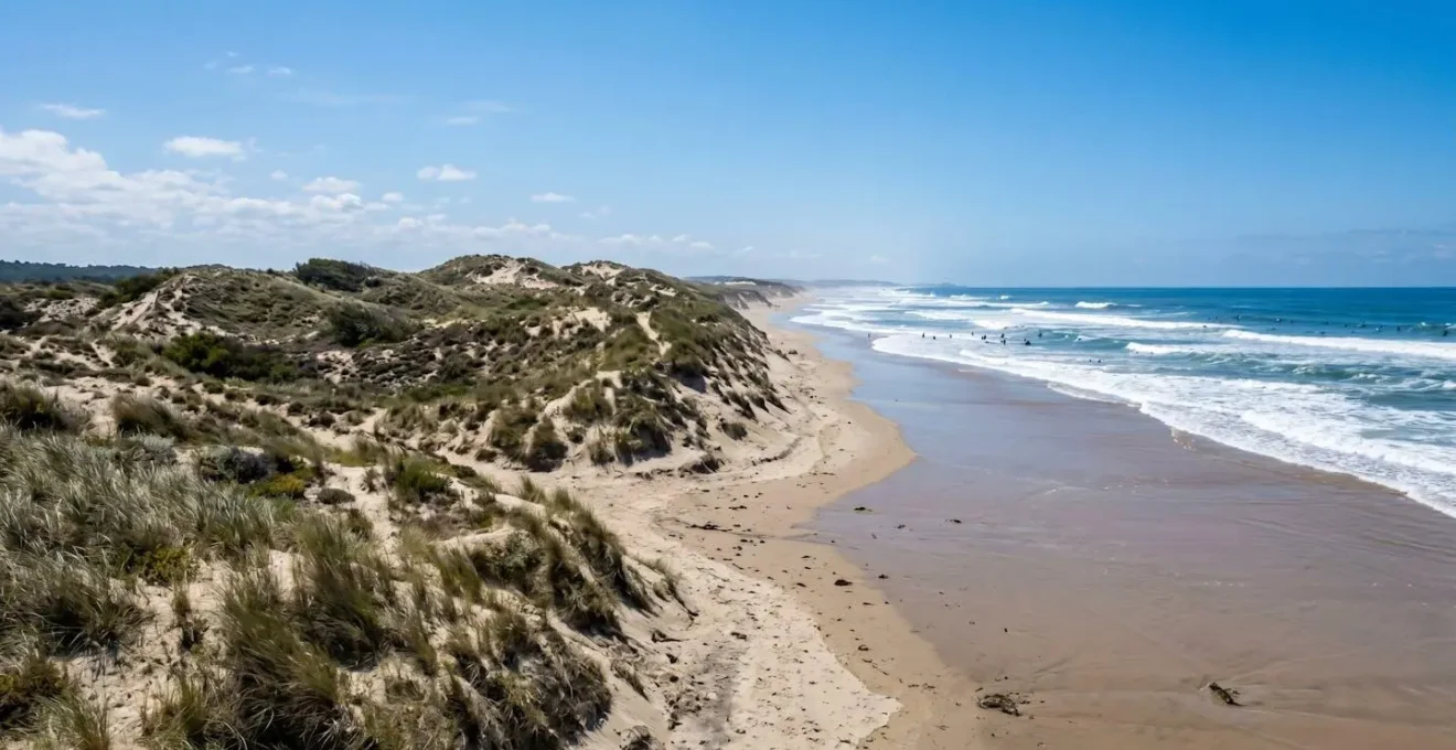 Vue large d'une plage de l'océan Atlantique dans les Landes avec dunes de sable, ciel bleu et quelques surfeurs au loin